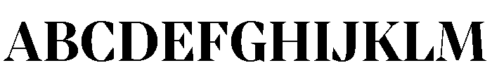 Dm Serif Bold Font UPPERCASE