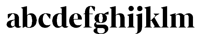 Dm Serif Bold FONT