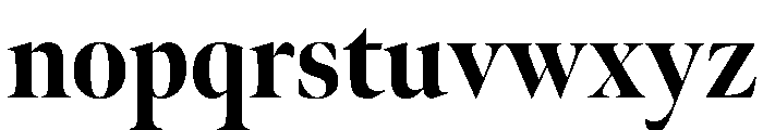 Dm Serif Heavy Font LOWERCASE