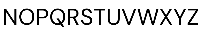 DM Sans 9pt Regular Font UPPERCASE