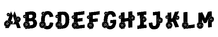 Dniester Regular Font UPPERCASE