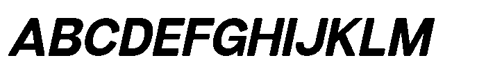 Dnv Rounded Bold Italic Font UPPERCASE