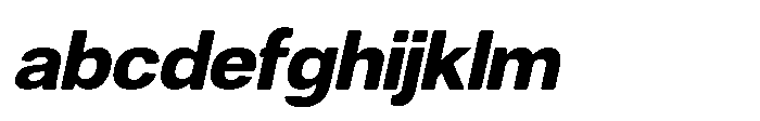 Dnv Rounded Extra Italic FONT