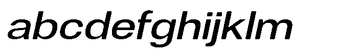Dnv Rounded Medium Expanded Italic FONT