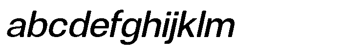 Dnv Rounded Medium Italic FONT