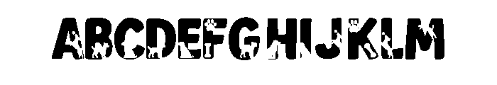 Dog letter Orange FONT
