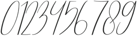 Donitty Italic otf (400) Font OTHER CHARS