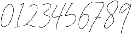 Dorothy Clark Signature otf (400) Font OTHER CHARS