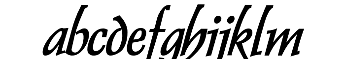 Dolphin Bold Italic Font LOWERCASE