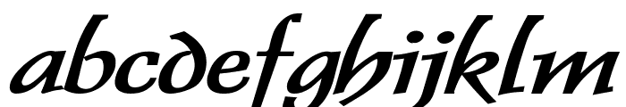 Dolphin Extended Bold Italic Font LOWERCASE