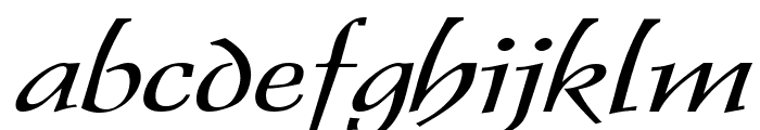 Dolphin Extended Italic Font LOWERCASE
