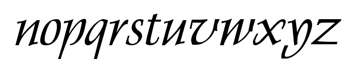 Dolphin Italic Font LOWERCASE