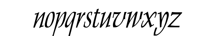 Dolphin Thin Italic Font LOWERCASE