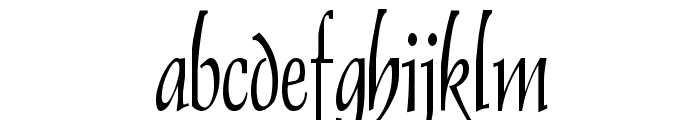 Dolphin Thin Normal Font LOWERCASE