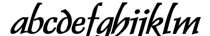Dolphin Wide Bold Italic Font LOWERCASE