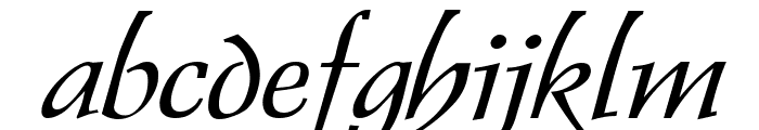 Dolphin Wide Italic Font LOWERCASE