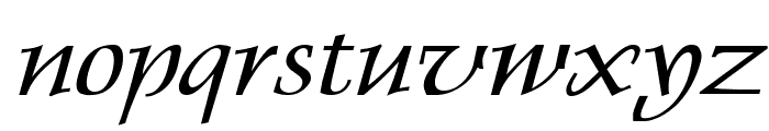 Dolphin Wide Italic Font LOWERCASE