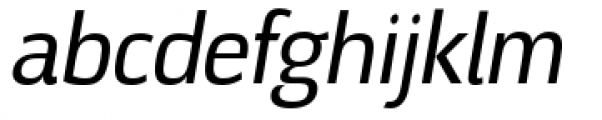 DOCU Oblique Font LOWERCASE