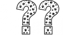 Dog Paw - Pet Font 1 Font OTHER CHARS