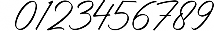Don Carlitto - Elegant Signature Font Font OTHER CHARS