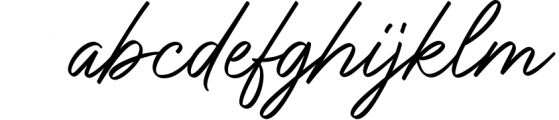 Don Carlitto - Elegant Signature Font Font LOWERCASE