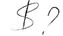 Donatella - Handwritten Font 11 Font OTHER CHARS