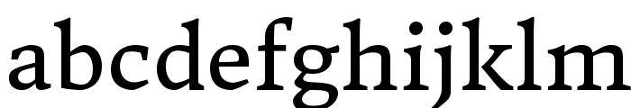 DonegalOne-Regular Font LOWERCASE