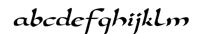 DorovarFLF-Italic Font LOWERCASE