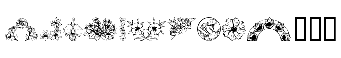 Dover Floral and Design II Font LOWERCASE