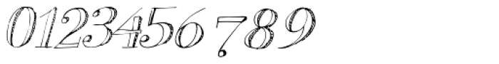 Donald Plain Italic Font OTHER CHARS