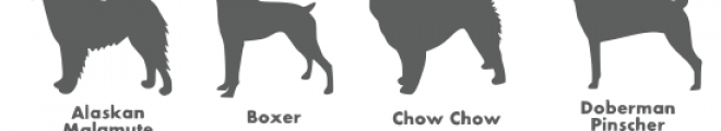 dog breed silhouettes font Font UPPERCASE