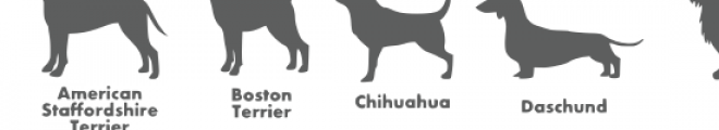 dog breed silhouettes font Font LOWERCASE