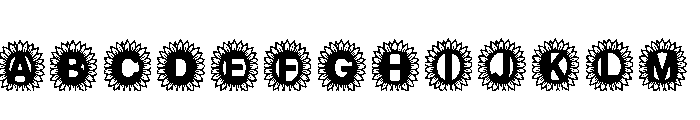 Draco Regular FONT