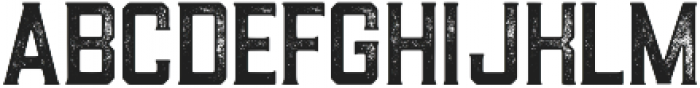 Draught Serif - Textured otf (400) Font UPPERCASE