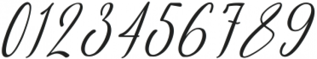 Driana Brideth Italic ttf (400) Font OTHER CHARS