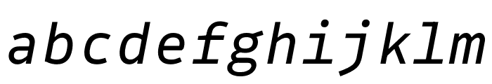 Drive Mono Variable Italic Font LOWERCASE