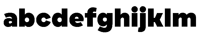 Draft Extra Expanded Black FONT