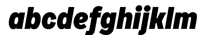 Draft Narrow Black Italic FONT