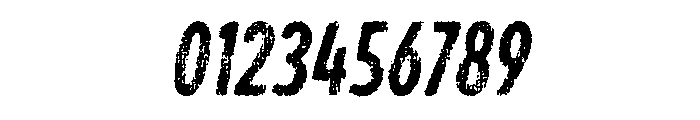 Draft Natural Lo Res Compressed Bold Italic Font OTHER CHARS