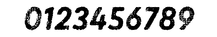 Draft Natural Lo Res Normal Bold Italic Font OTHER CHARS