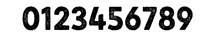 Draft Natural Two Normal Bold Font OTHER CHARS