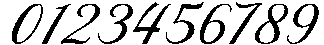 DT Maroon Champagne otf (400) Font OTHER CHARS