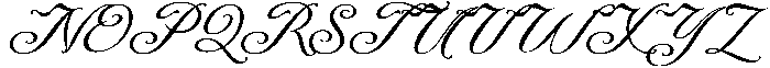 DT Maroon Champagne otf (400) Font UPPERCASE