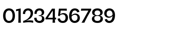 DT Serifia Regular Font OTHER CHARS