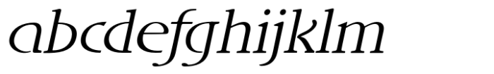 DT Skiart Lexiconic Less Italic Font LOWERCASE
