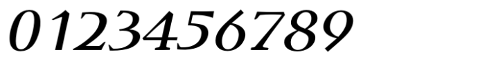 DT Skiart Lexiconic Medium Italic Font OTHER CHARS