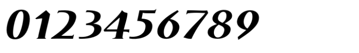DT Skiart Serif Leaf Bold Italic Font OTHER CHARS