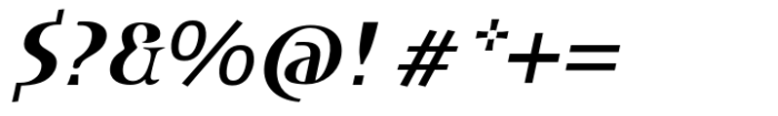 DT Skiart Serif Leaf Bold Italic Font OTHER CHARS