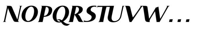 DT Skiart Serif Leaf Bold Italic Font UPPERCASE
