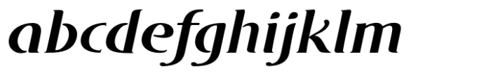 DT Skiart Serif Leaf Less Bold Italic Font LOWERCASE